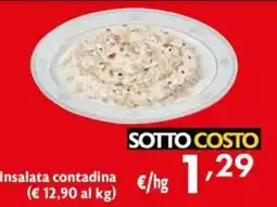 Eurospesa Insalata contadina offerta
