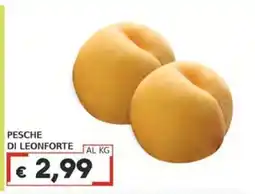 Italy Cash Pesche di Leonforte offerta