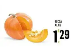 Vibian Zucca offerta