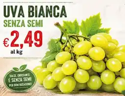 Coal City Uva bianca senza semi offerta
