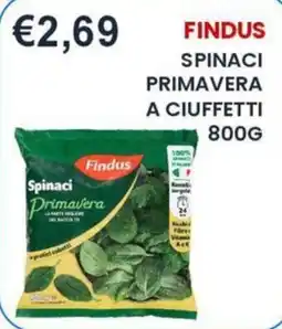 Caramico Findus Spinaci Primavera offerta