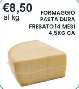 Caramico Formaggio pasta dura offerta