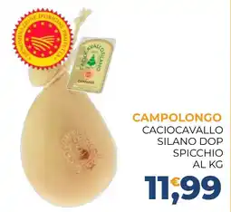 Moderna Campolongo Caciocavallo Silano DOP offerta