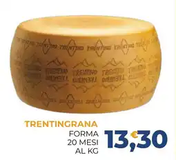 Moderna Trentingrana offerta
