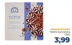 Moderna Sammontana torta duchessa offerta