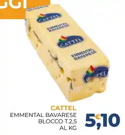 Moderna Cattel Emmental Bavarese offerta
