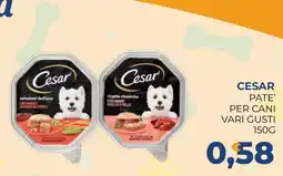 Moderna Cesar pate' per cani offerta