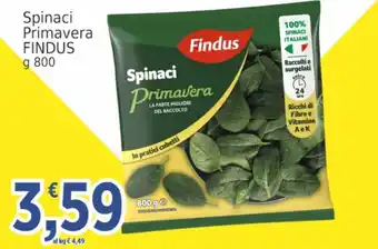 Market Ingross Spinaci Primavera Findus offerta