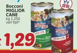 Market Ingross Bocconi Miglior Cane offerta