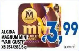 DEM Algida Magnum Mini vari gusti offerta
