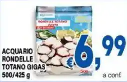 DEM Acquario rondelle totano gigas offerta