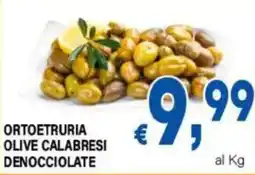 DEM Ortoetruria olive calabresi denocciolate offerta