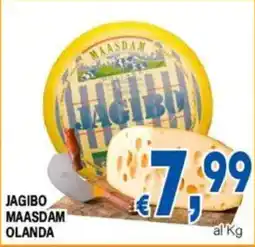 DEM Jagibo Maasdam Olanda offerta