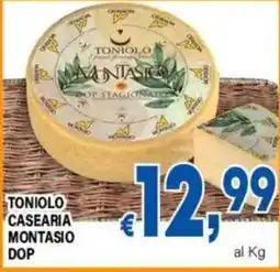 DEM Tonioło Casearia Montasio DOP offerta