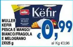 DEM Muller Kefir offerta