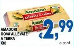 DEM Amadori uova allevate a terra offerta