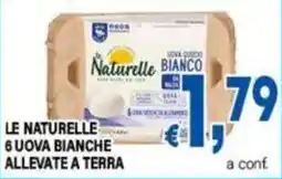 DEM Le Naturelle uova bianche offerta