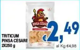 DEM Triticum Pinsa Cesare offerta
