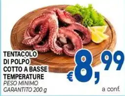 DEM Tentacolo di polpo offerta