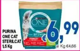 DEM Purina One Cat Sterilcat offerta