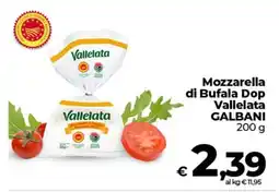 Ipercoop Radenza Mozzarella di Bufala Dop Vallelata Galbani offerta