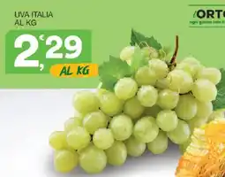 Sisa Uva Italia offerta