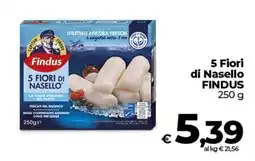 Ipercoop Radenza 5 Fiori di Nasello Findus offerta