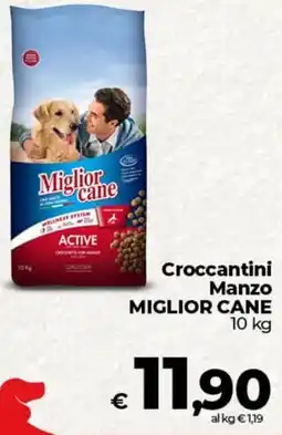 Ipercoop Radenza Croccantini Manzo Miglior Cane offerta