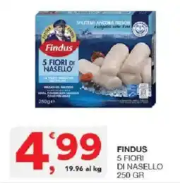 Sisa Findus 5 Fiori di Nasello offerta