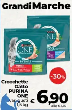 Ipercoop Radenza Crocchette Gatto PURINA ONE offerta