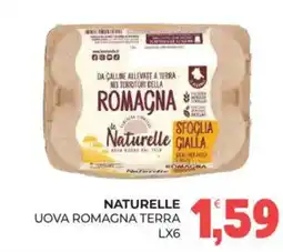Eté Uova Romagna Terra offerta