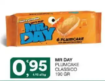Sisa Mr Day plumcake classico offerta