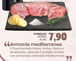 Eté Coniglio intero offerta