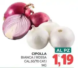 Eté Cipolla bianca/rossa offerta