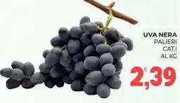 Eté Uva nera Palieri offerta