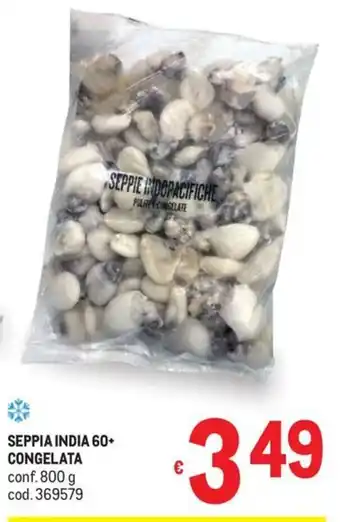 Seppia India 60+