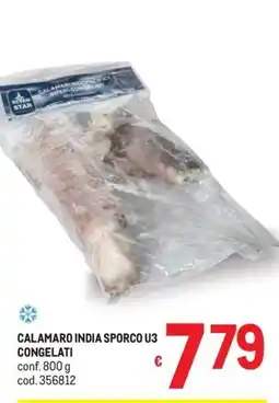 Metro Calamaro India Sporco U3 offerta