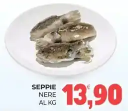 Eté Seppie nere offerta