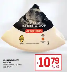 Metro Grana Padano DOP Agriform offerta