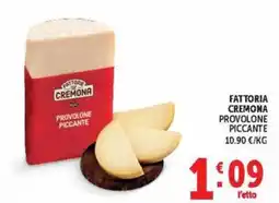 Deco Maxistore Fattoria Cremona Provolone Piccante offerta