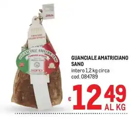 Metro Guanciale Amatriciano Sano offerta