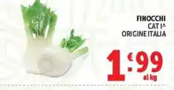Deco Maxistore Finocchi offerta