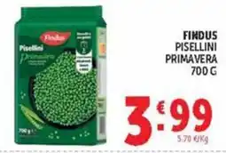 Deco Maxistore Findus Pisellini Primavera offerta