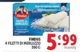 Deco Maxistore Findus filetti di merluzzo offerta