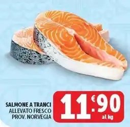 Deco Maxistore Salmone a tranci offerta