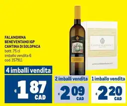 Metro Falanghina Beneventano IGP Cantina di Solopaca offerta
