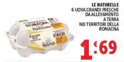 Deco Maxistore Uova grandi fresche da allevamento a terra Naturelle offerta
