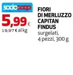 Extracoop Fiori di merluzzo Findus offerta