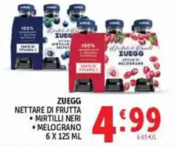 Deco Maxistore Zuegg nettare di frutta offerta