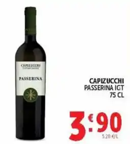 Deco Maxistore Capizucchi Passerina IGT offerta